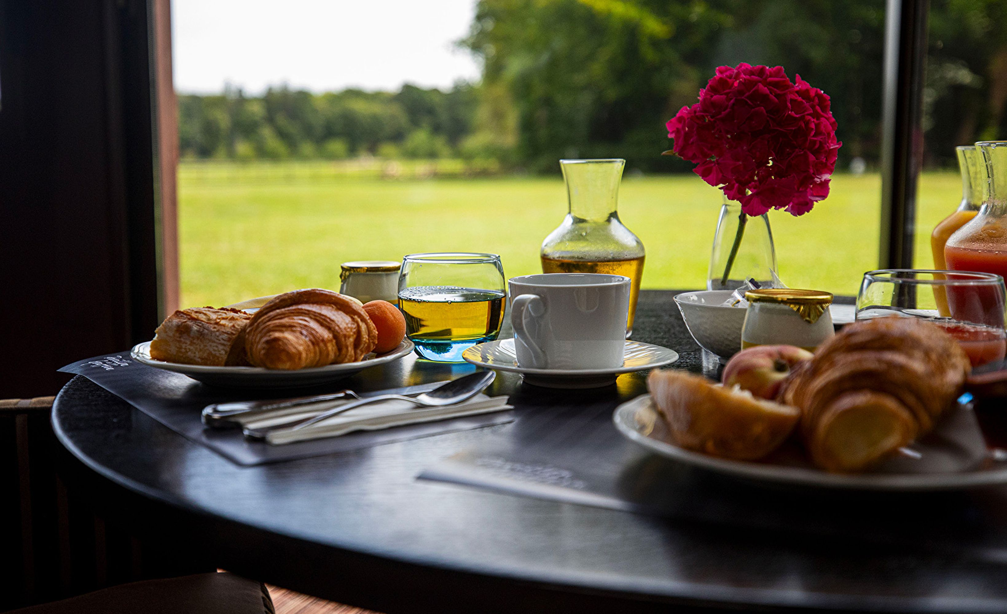 Petit dejeuner vue prairie