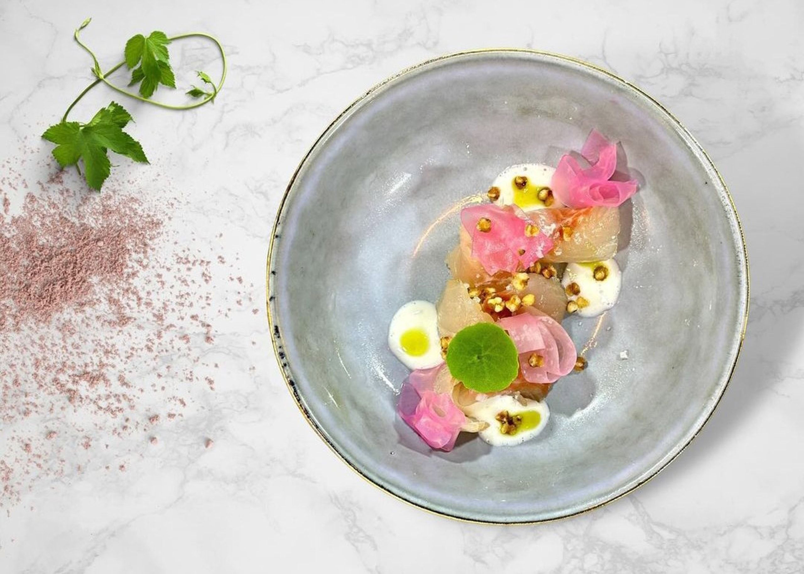 Restaurant plat tartare