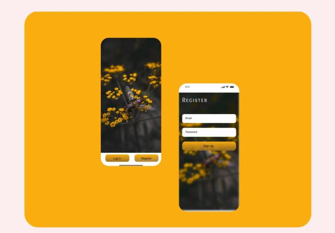 Log In Page