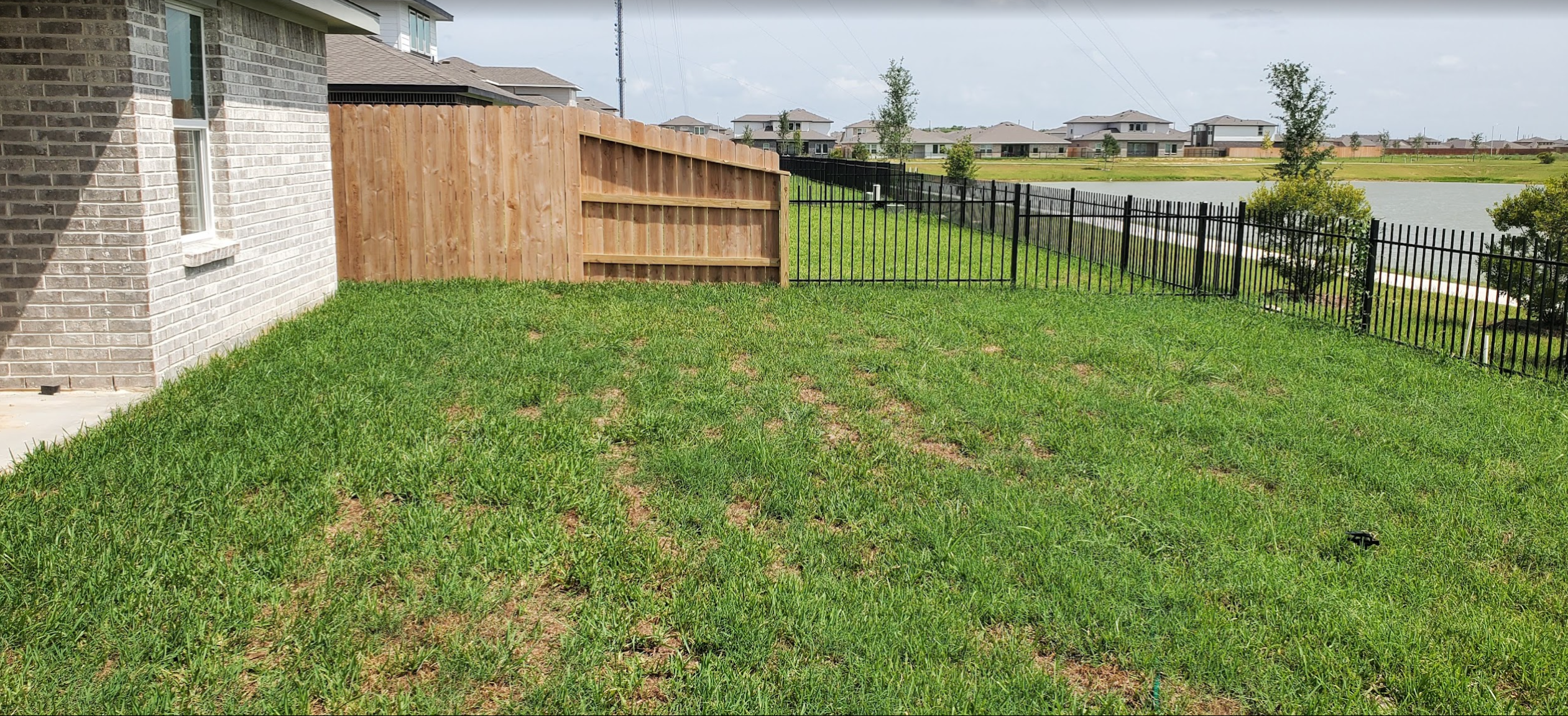 Backyard before renovation showing natural grass lawn, wood privacy fence, and lake view