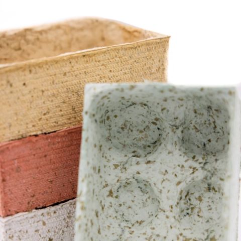 A stack of moulded pulp trays in cream, terracotta and white, with a pale green speckled tray in front showing four rounded wells.