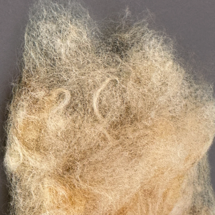 A close view of the fibre, its fine hairs tangled in drifts of pale gold and cream with a few darker strands curling free.