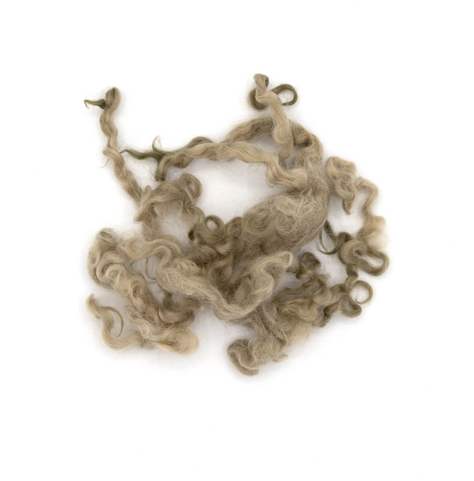 A lock of olive-dyed wool spread open, its long curls looping loosely with paler tips.