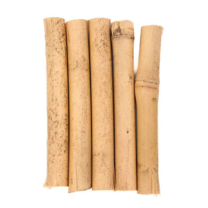 Five lengths of rivercane laid upright side by side, their pale golden culms marked with dark speckling and a raised node partway up.