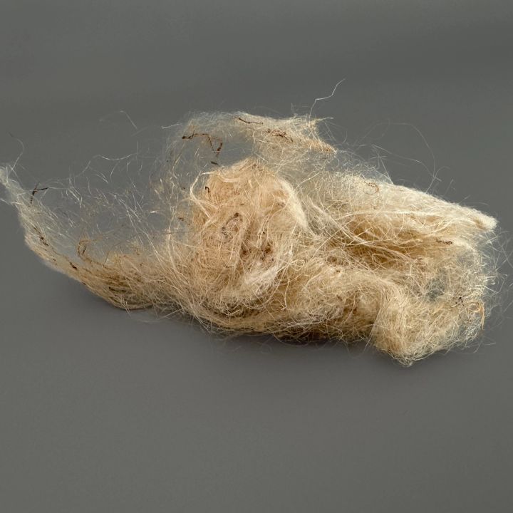 A drift of nettle fibre against a dark ground, its long strands silky and pale gold with a wispy halo.