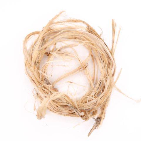 A loose coil of pale straw-coloured okra fibre, flat ribbons splitting into fine strands with woody fragments still attached.