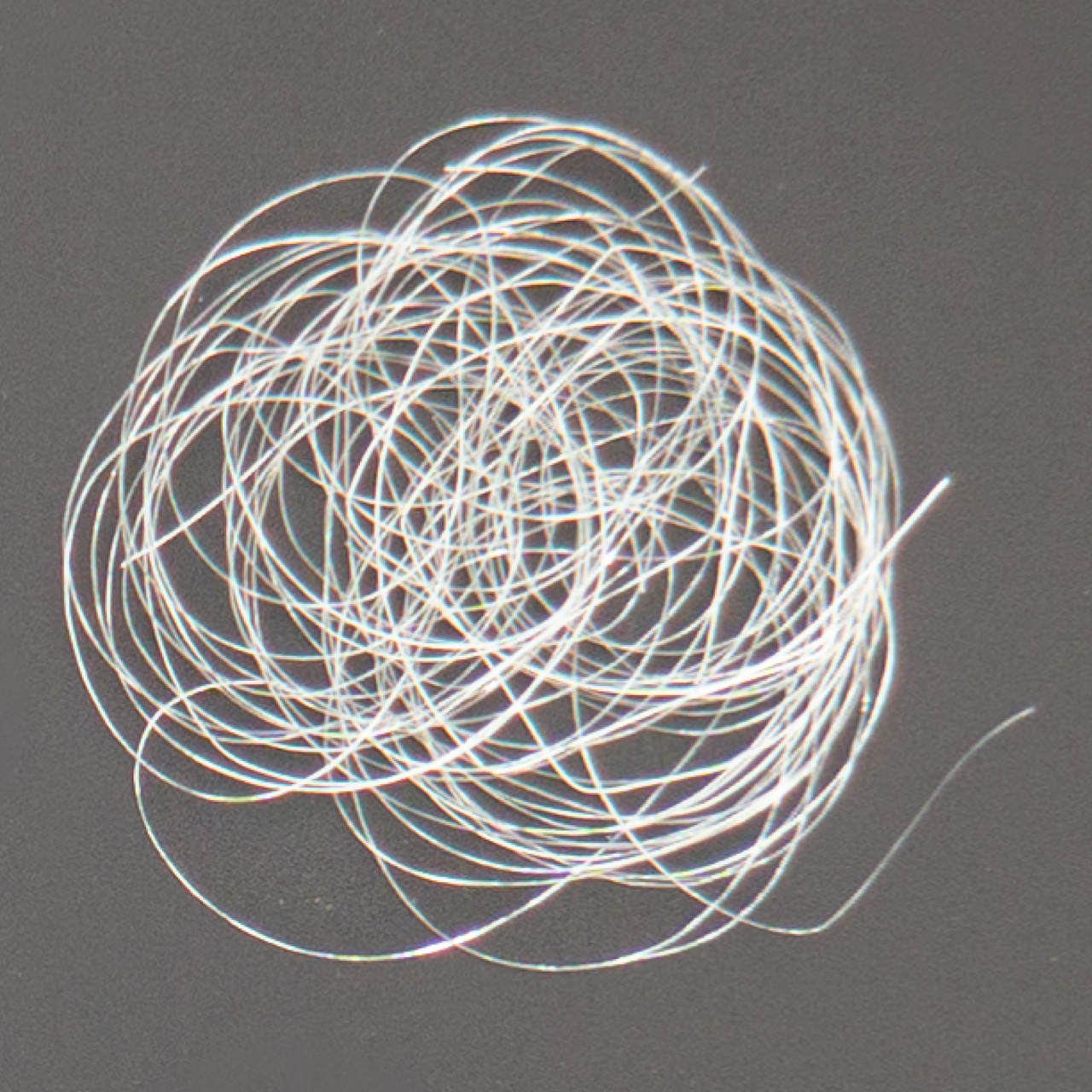 A loose tangle of fine translucent filaments coiled into a flat nest, catching the light in faint rainbow glints along their lengths.
