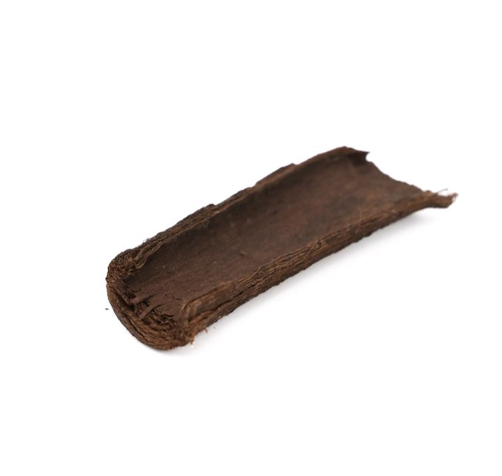 A curved slab of bark lying on its own, the outer face dark brown and the inner face pale and fibrous along the split edge.