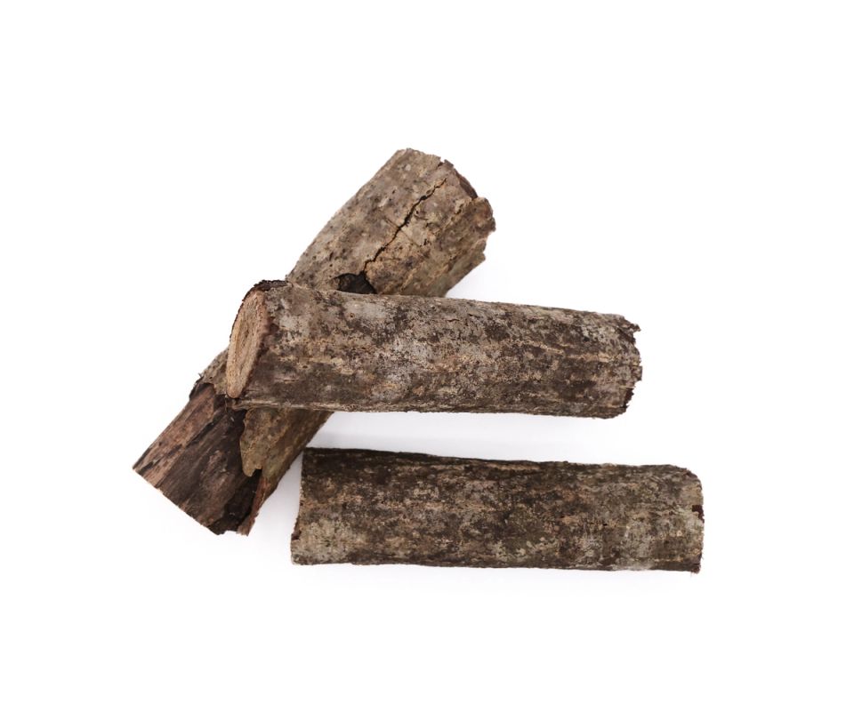 Three short lengths of butternut cut like miniature logs, their bark rough and mottled grey-brown, one split open to show the paler wood inside.