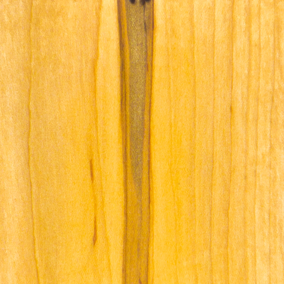 A close view of maple in warm golden yellow, the grain running vertically, with a dark olive-brown streak splitting the centre.