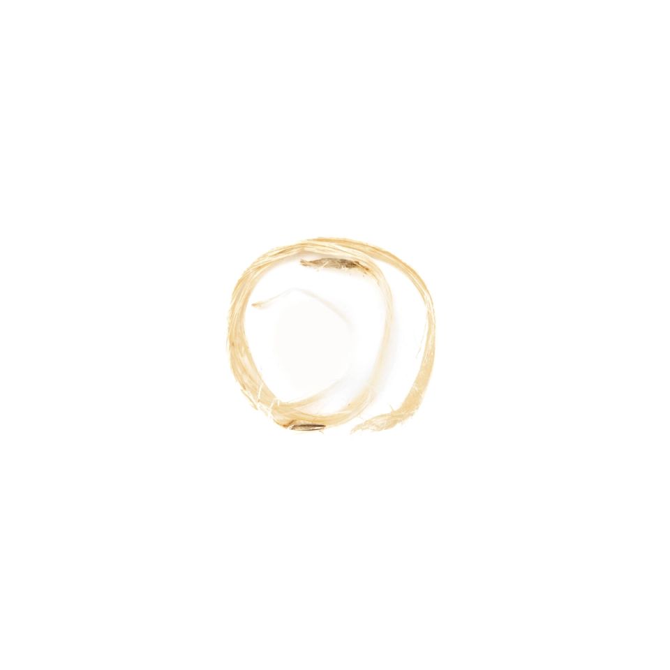 A single loop of the fibre lying alone, thin and pale, twisted into a small open circle.