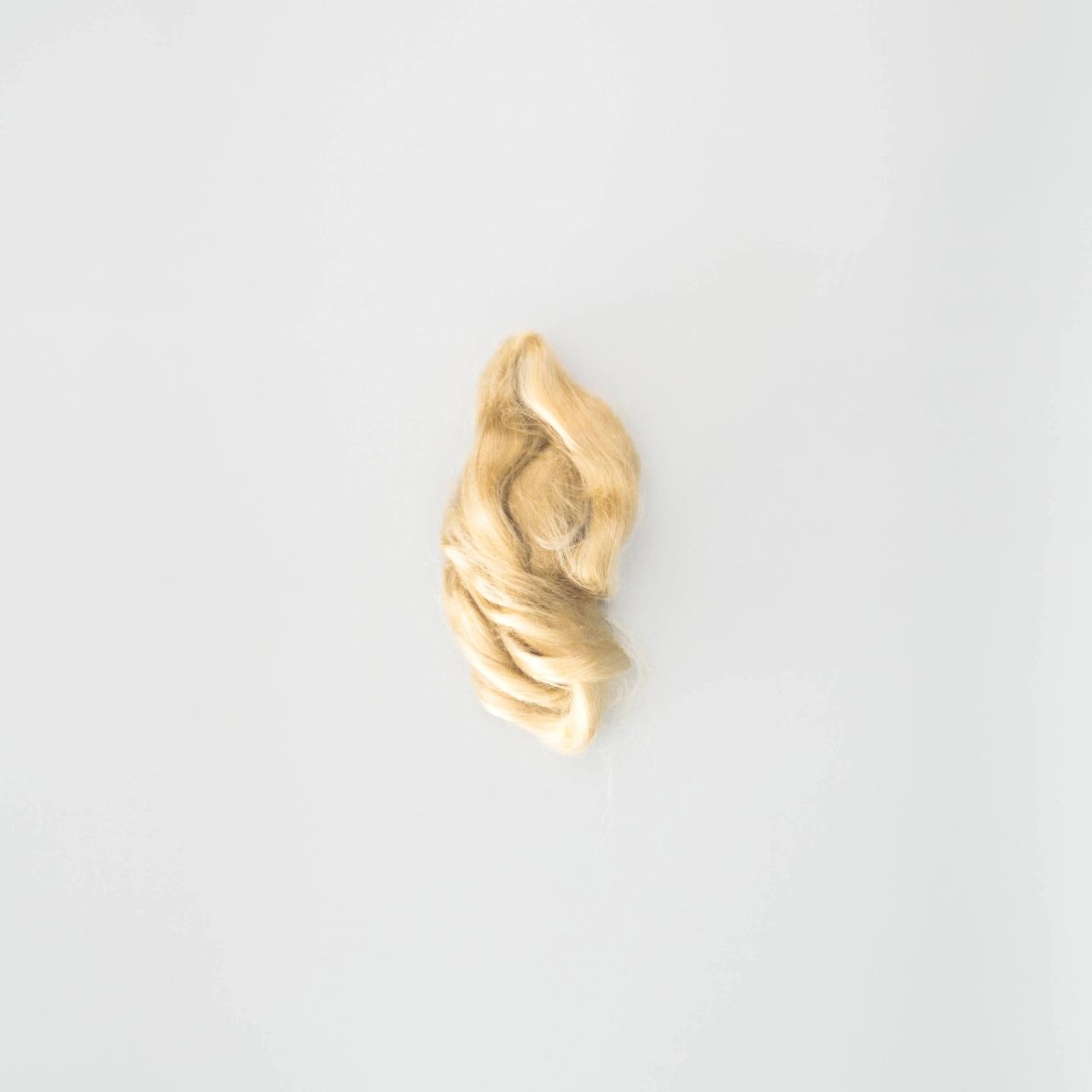 A small twist of tussah silk in warm honey-gold, its filaments smooth and lustrous, gathered into a soft flame-like curl.