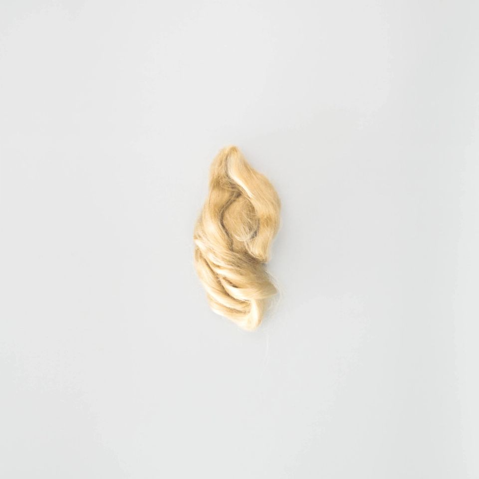 A small twist of tussah silk in warm honey-gold, its filaments smooth and lustrous, gathered into a soft flame-like curl.