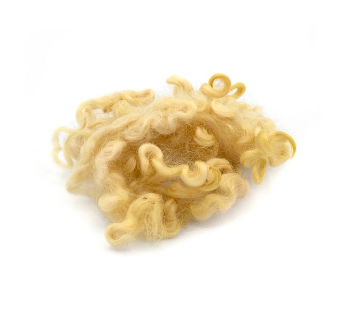 The gold-dyed lock seen closer, its tight ringlets springy and translucent where the light passes through.