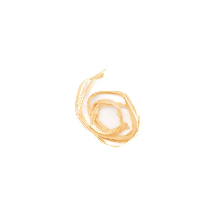 A single loop of the fibre lying alone, a thin pale ribbon twisted into a small open circle.