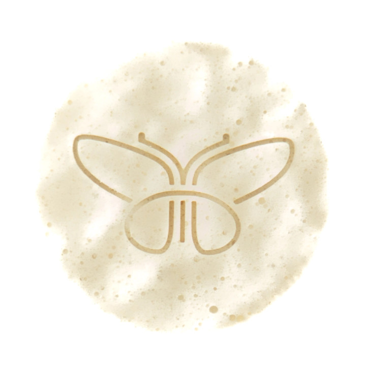 A close view of the foam disc, its bubbled surface and engraved butterfly outline seen large, the edge softly irregular.