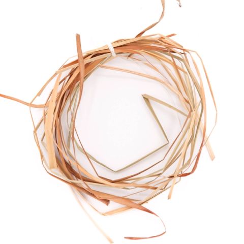 A loose coil of dried iris leaves in pale peach and straw, flat ribbon-like blades looping over one another with a single blade folded into a sharp angle at the centre.