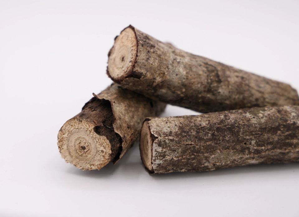 Three short butternut logs stacked loosely, their bark grey-brown and finely furrowed, the sawn ends showing pale concentric growth rings.