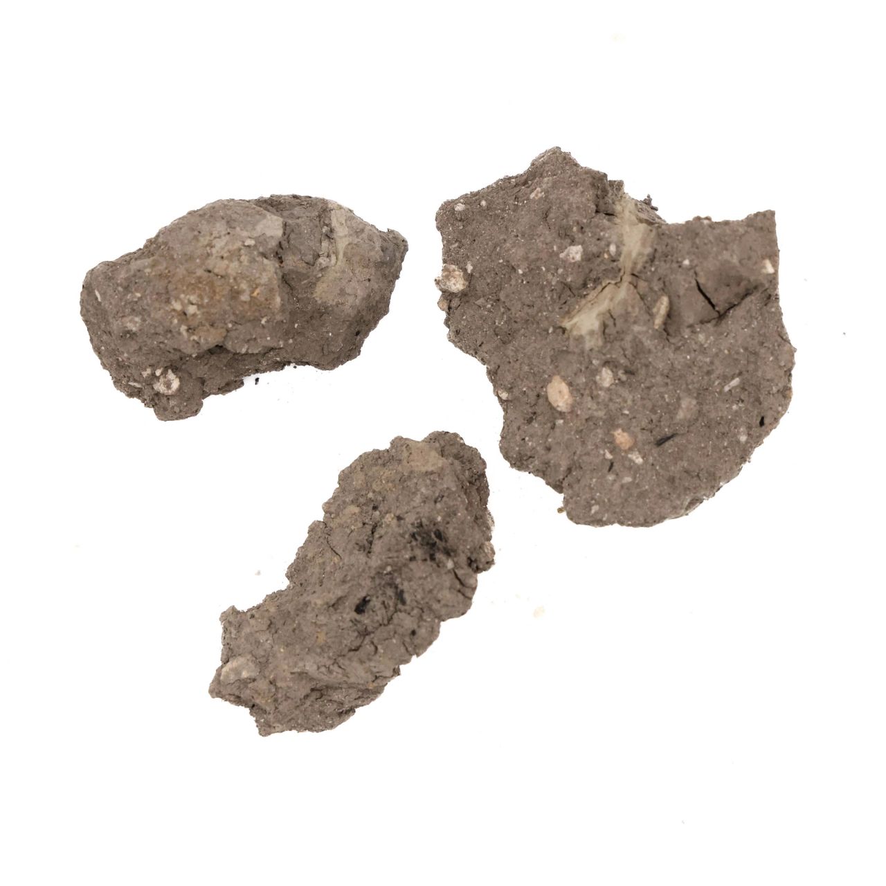 Three rough lumps of dry grey clay, coarse and crumbly, with paler grit and small pebbles embedded in the broken surfaces.