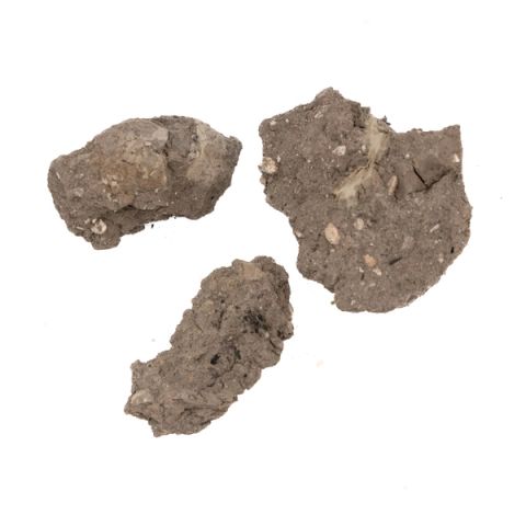 Three rough lumps of dry grey clay, coarse and crumbly, with paler grit and small pebbles embedded in the broken surfaces.