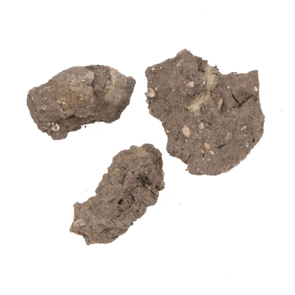 Three rough lumps of dry grey clay, coarse and crumbly, with paler grit and small pebbles embedded in the broken surfaces.