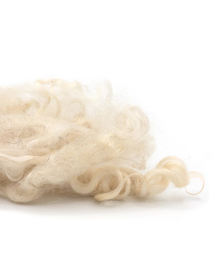 The undyed lock seen closer, its curls open and creamy white with a soft halo of fine fibres.