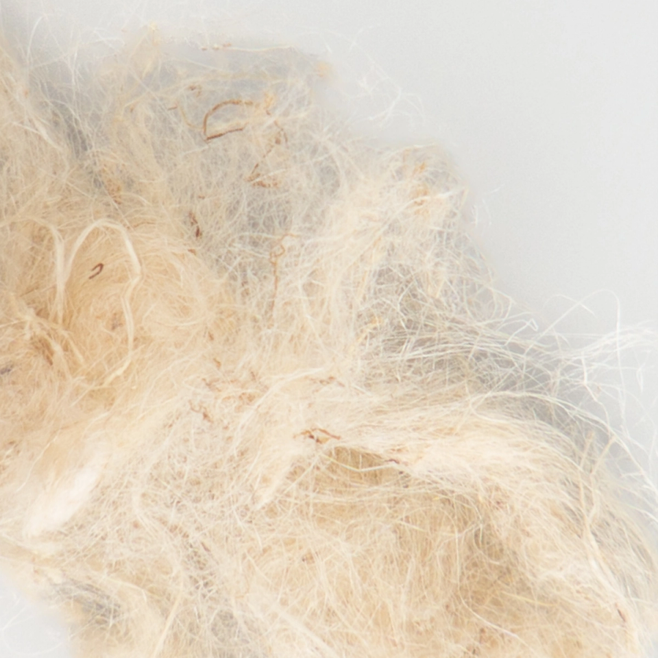 A soft drift of pale cream nettle fibre, fine and hair-like, tangled loosely with a few darker strands running through.