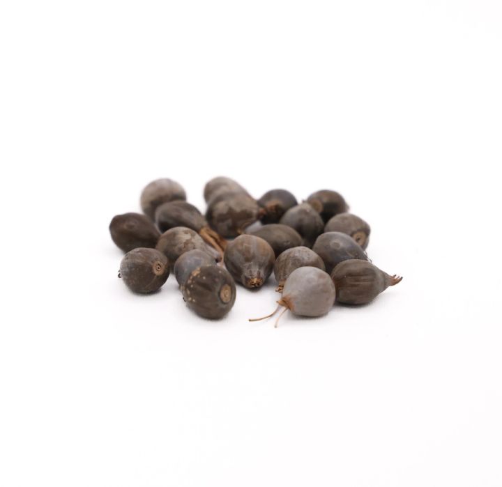 The seeds gathered into a tighter heap and seen closer, their glossy grey-brown shells and small stem scars in sharper detail.