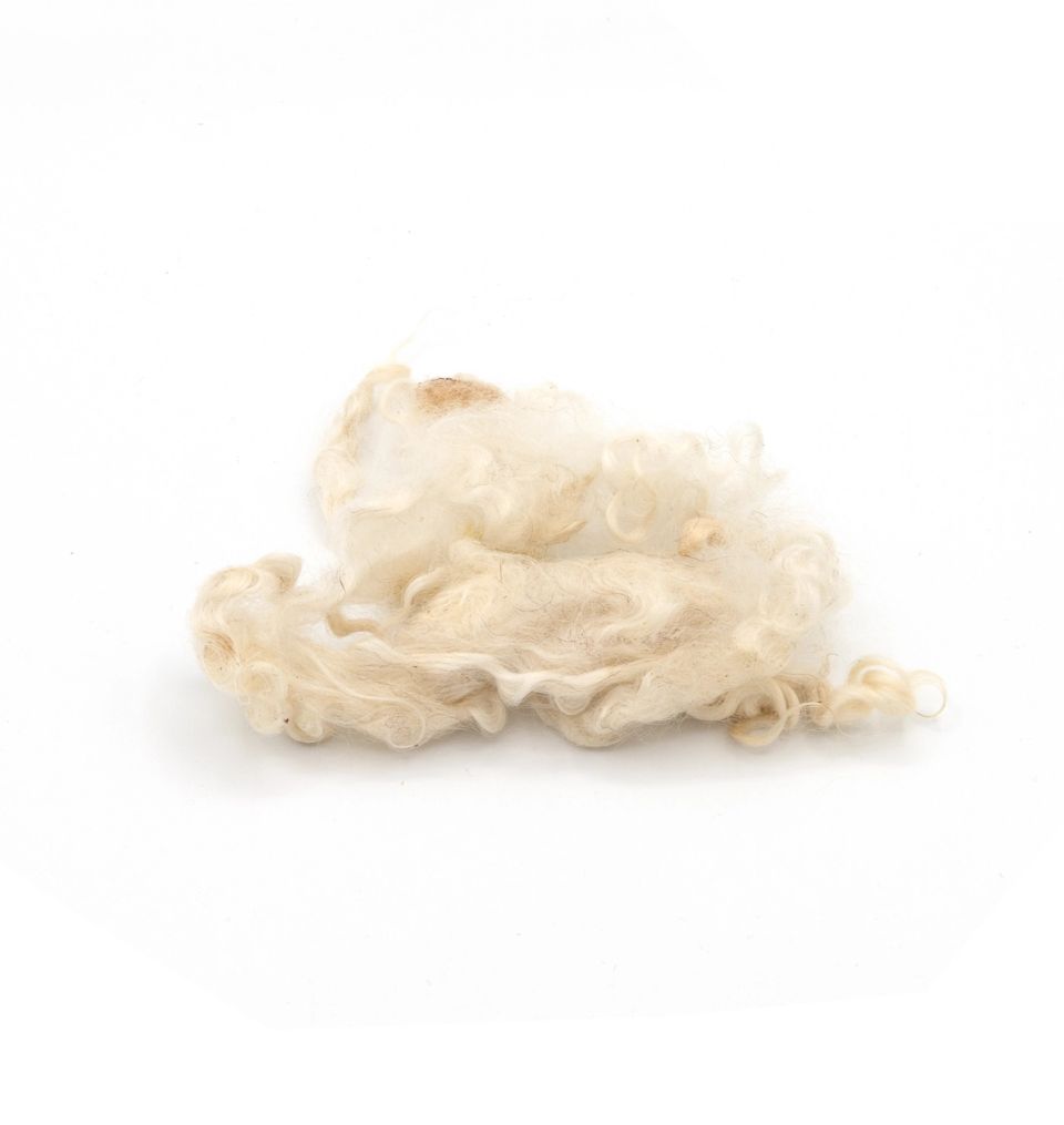 A lock of undyed wool in creamy white, softly crimped with loose curls along its lower edge.
