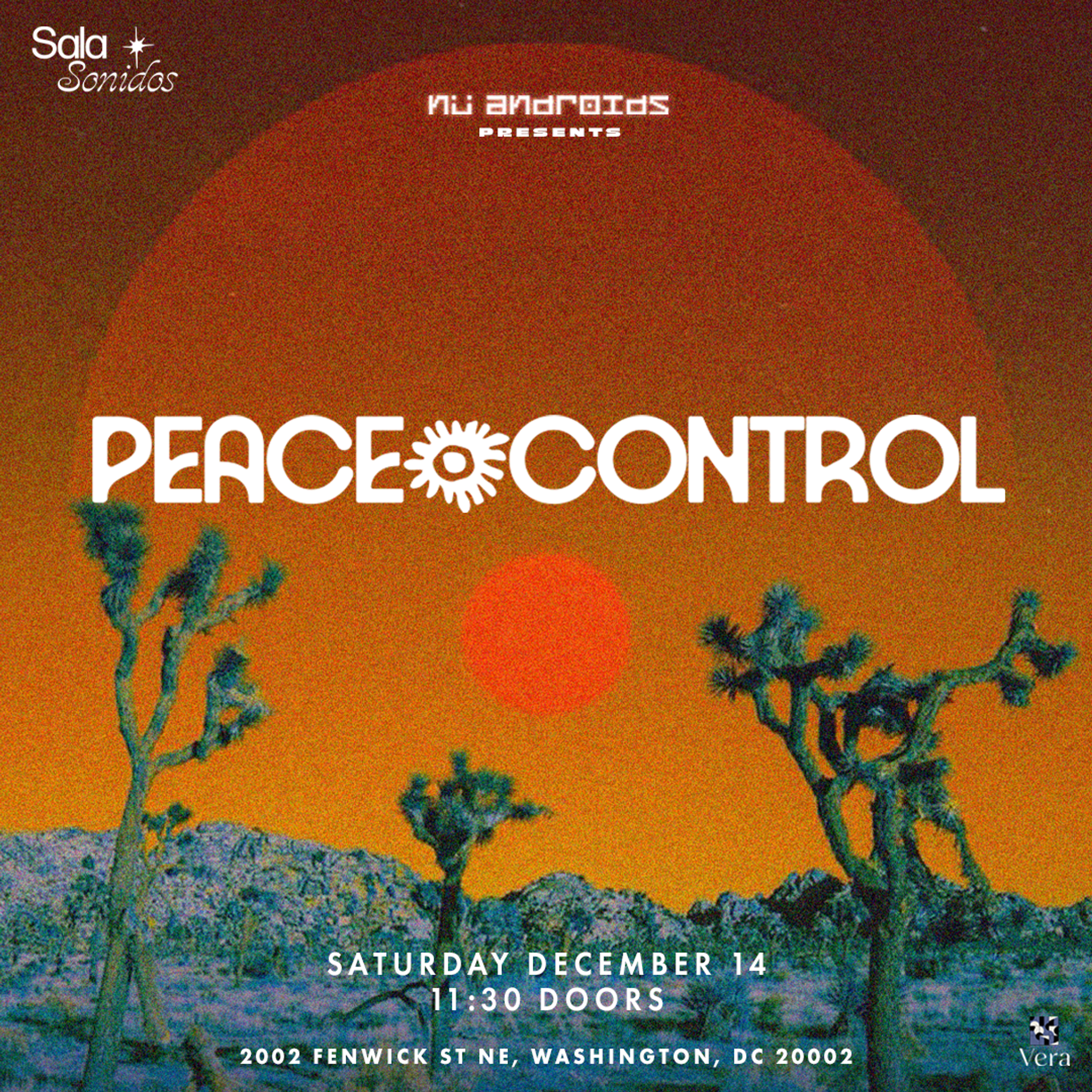 Flyer image for Peace Control