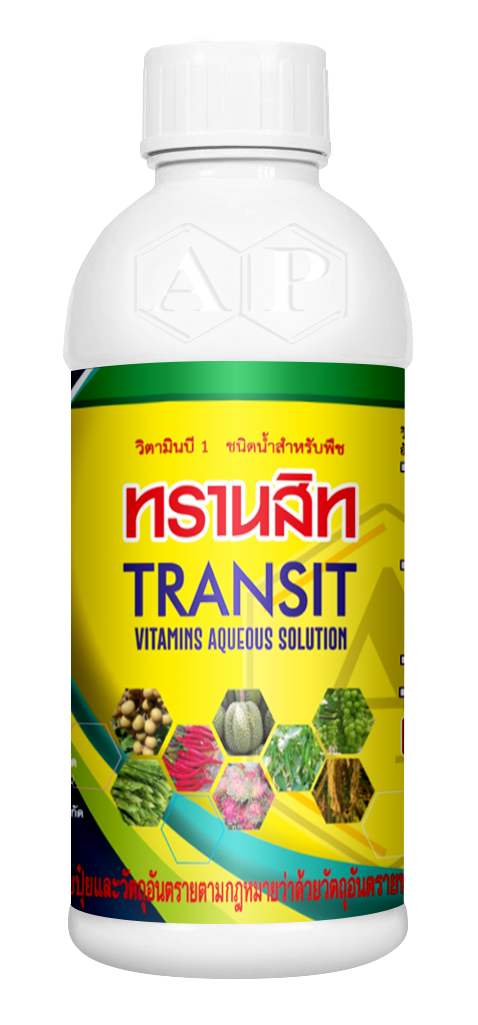 ทรานสิท