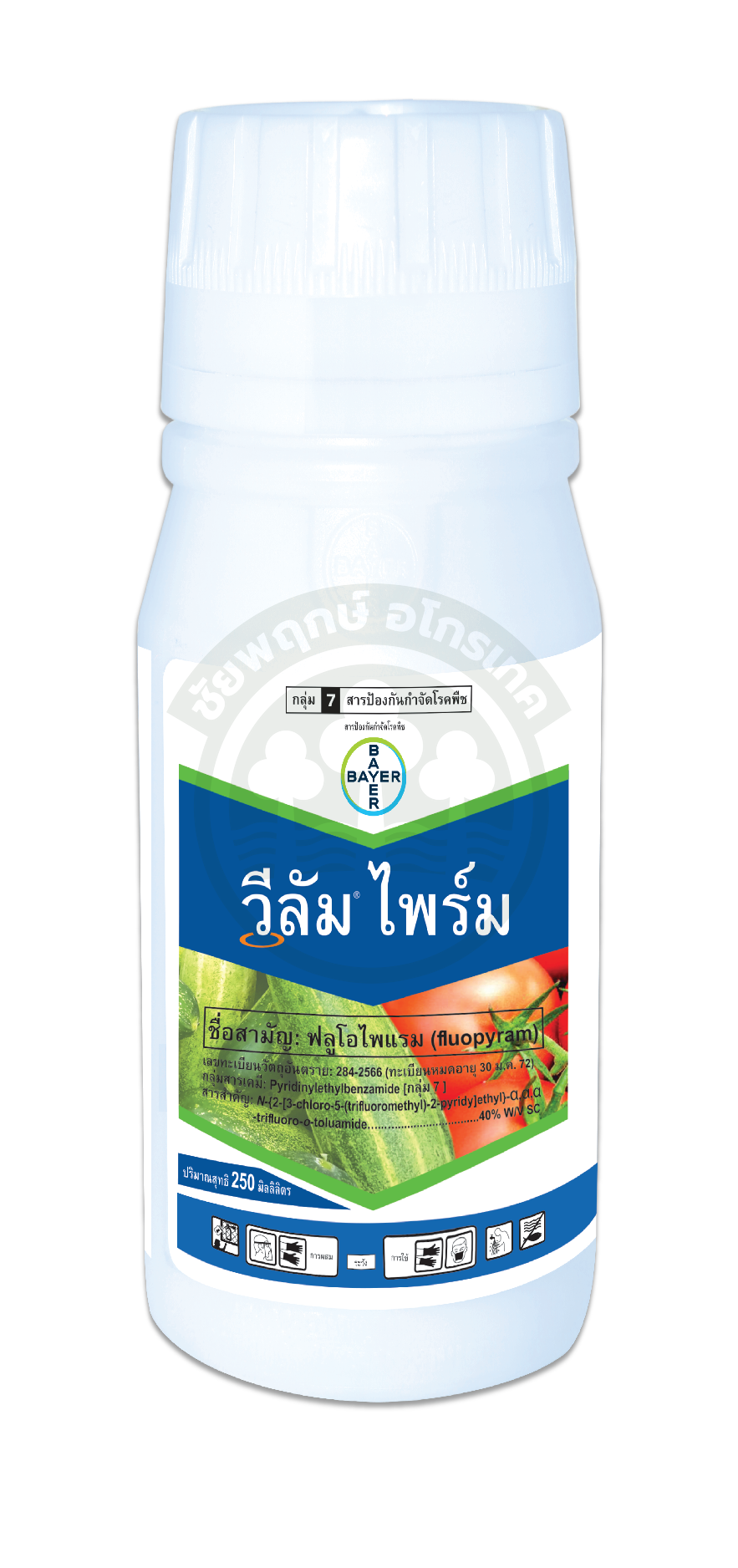 วีลัม ไพร์ม (50x100ซีซี)