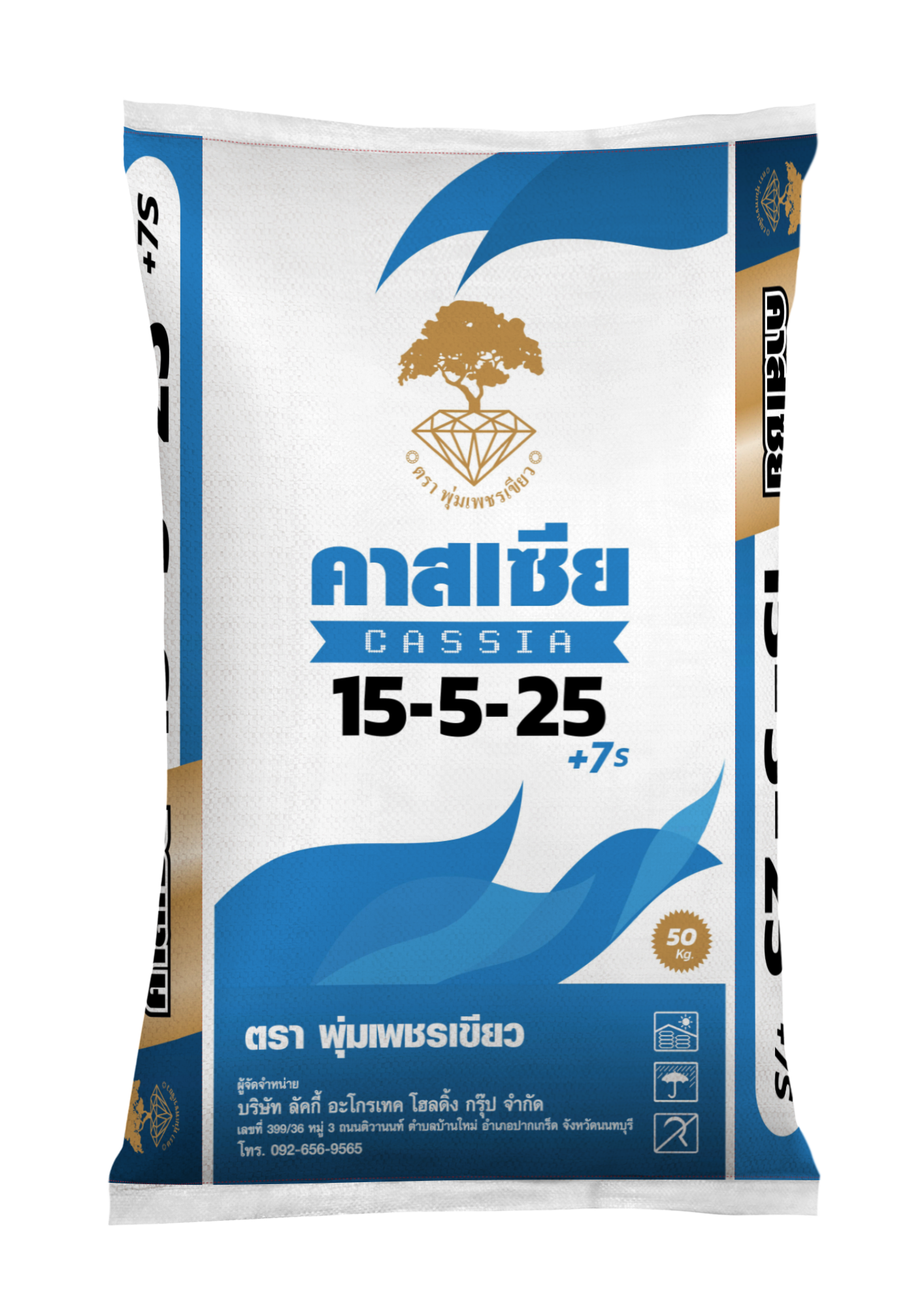 ลัคกี้ คาสเซีย 15-5-25