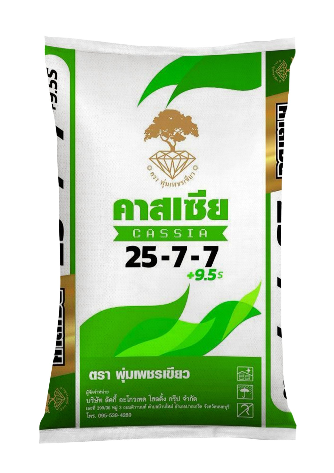ลัคกี้ คาสเซีย 25-7-7
