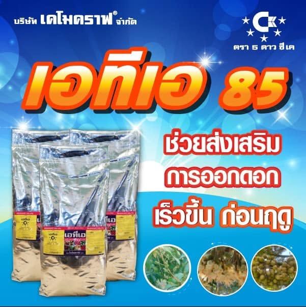 เอทีเอ