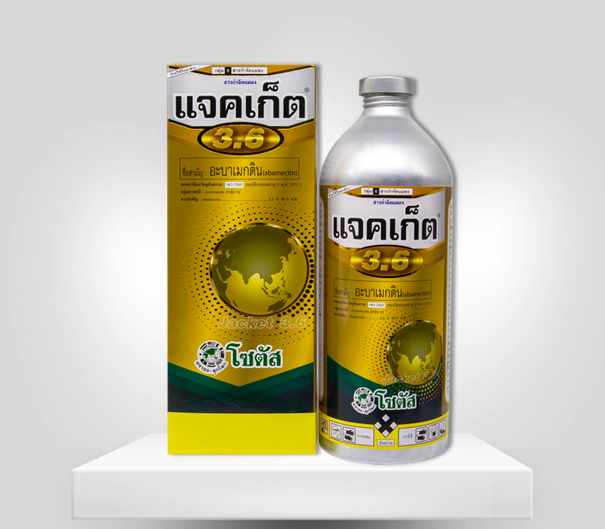 แจคเก็ต