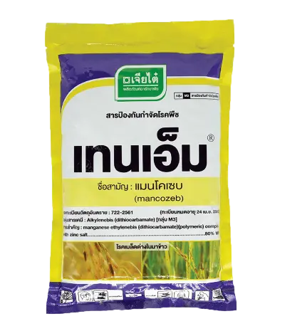 เทนเอ็ม 1kg