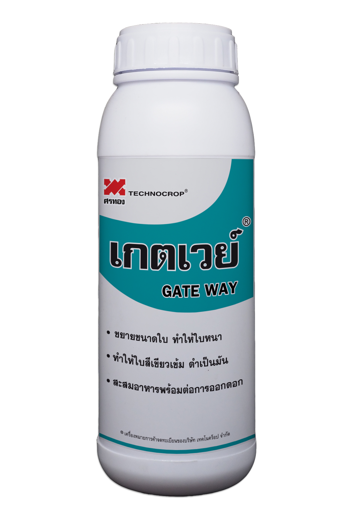 เกตเวย์