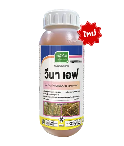 วีนาเอฟ 1L