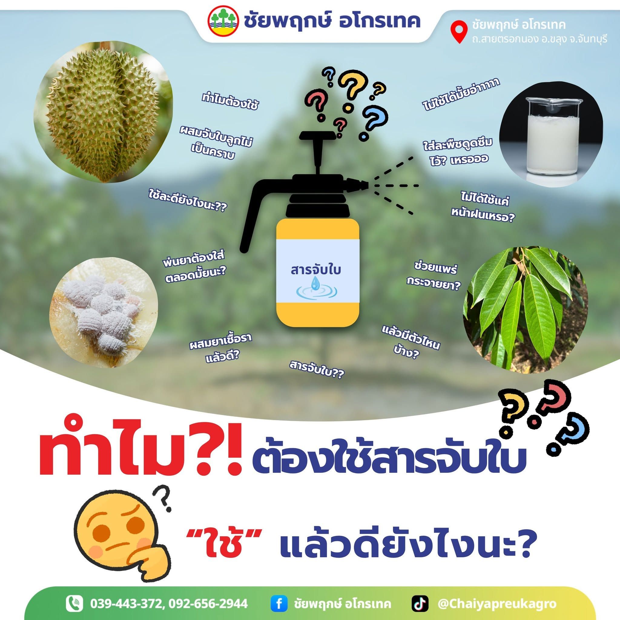 สารจับใบ ช่วงลูกจำเป็นไหม ช่วยยาโรค–ยาแมลงยังไง