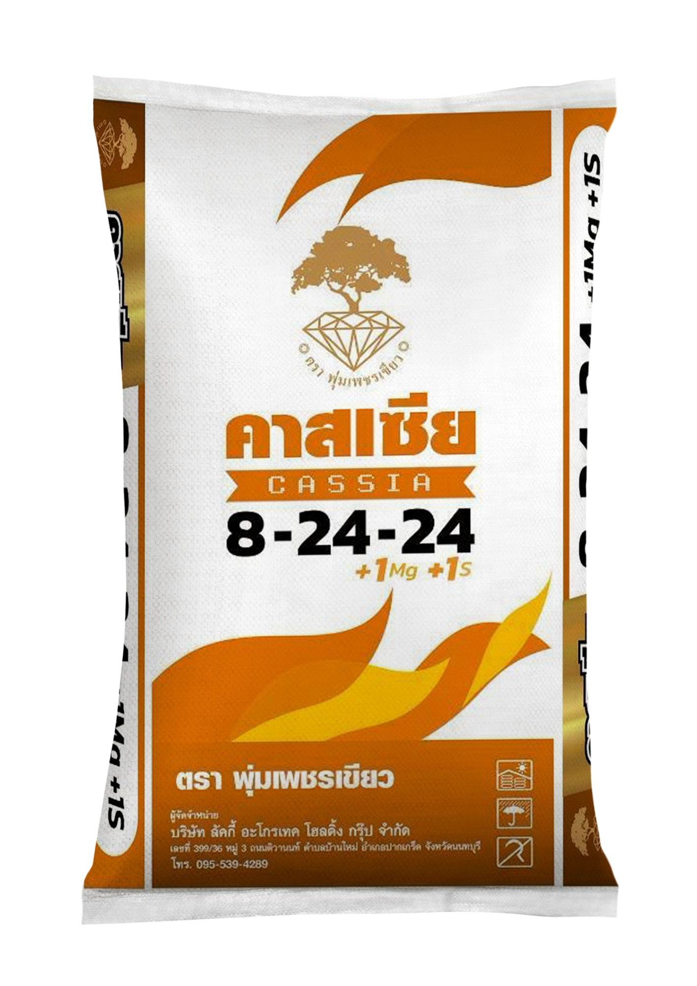 ลัคกี้ คาสเซีย 8-24-24