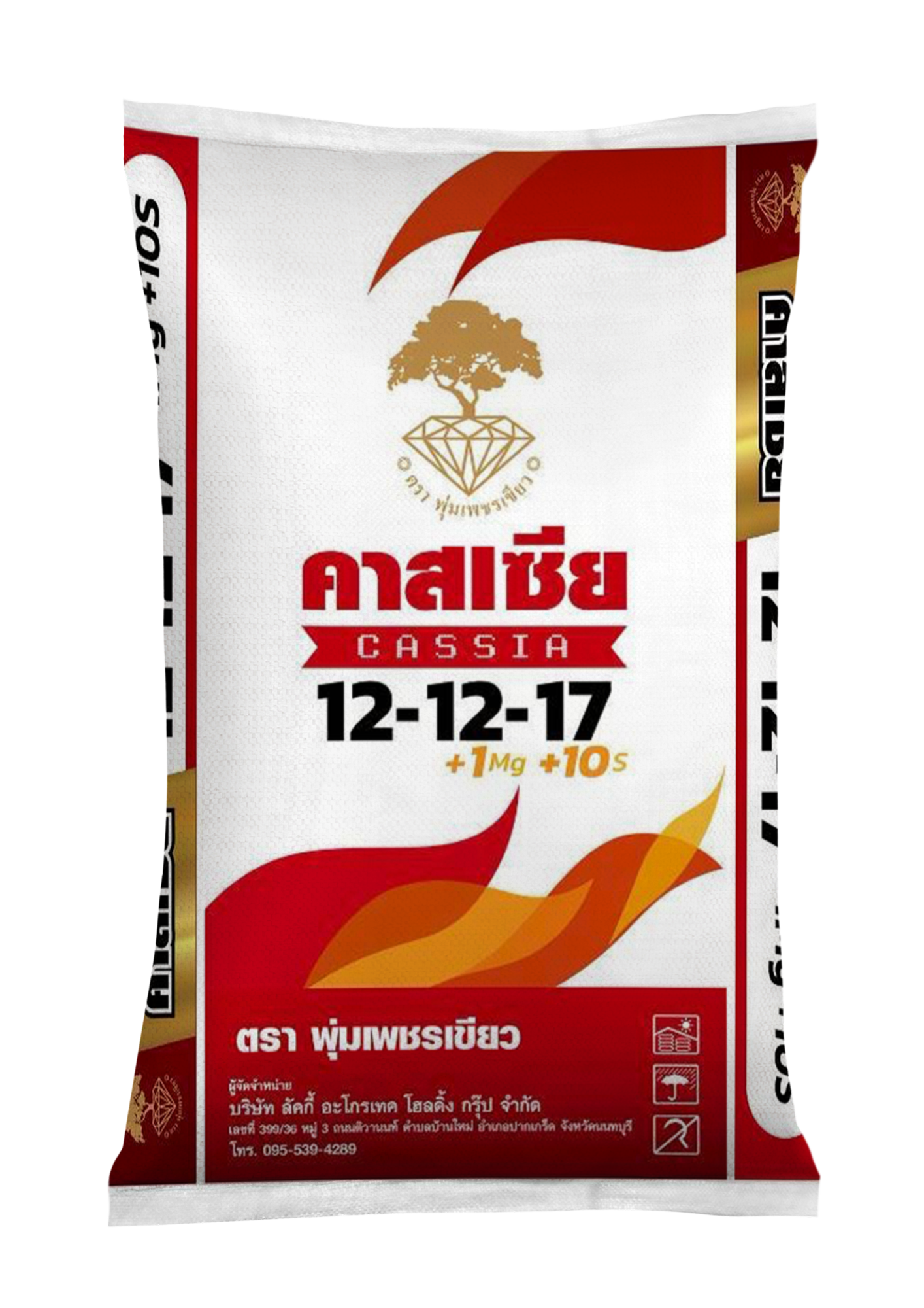 ลัคกี้ คาสเซีย 12-12-17