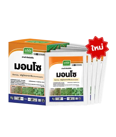 มอนโซ 50 g