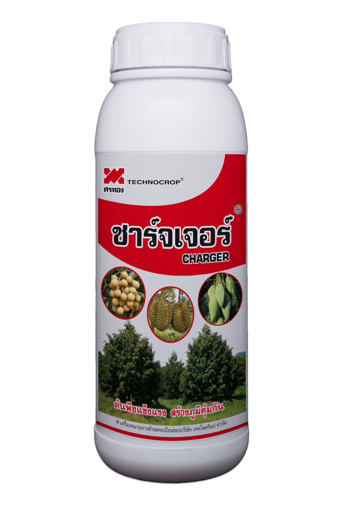 ชาร์จเจอร์
