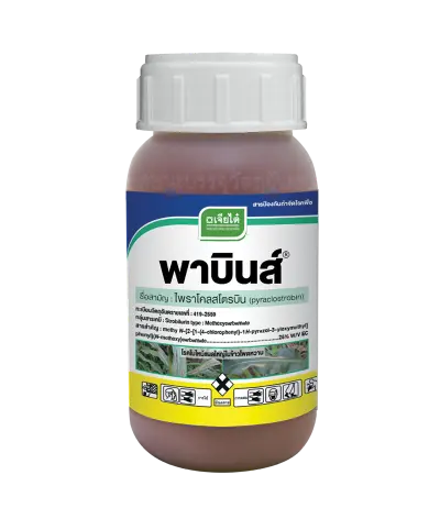พาบินส์ 0.5L