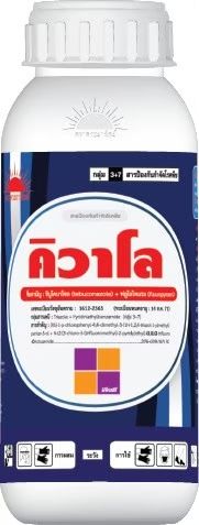 คิวาโล
