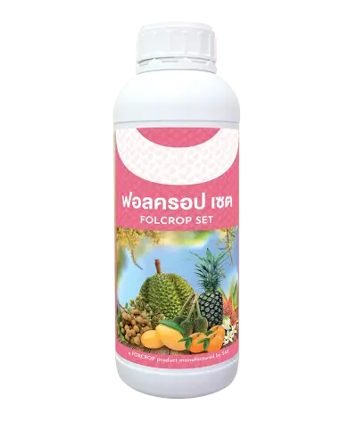 ฟอลครอป เซต 1L
