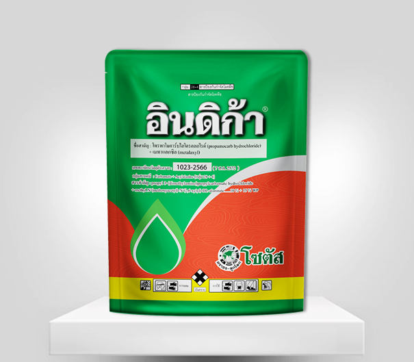 สตาร์์เกิล เอสเเอล