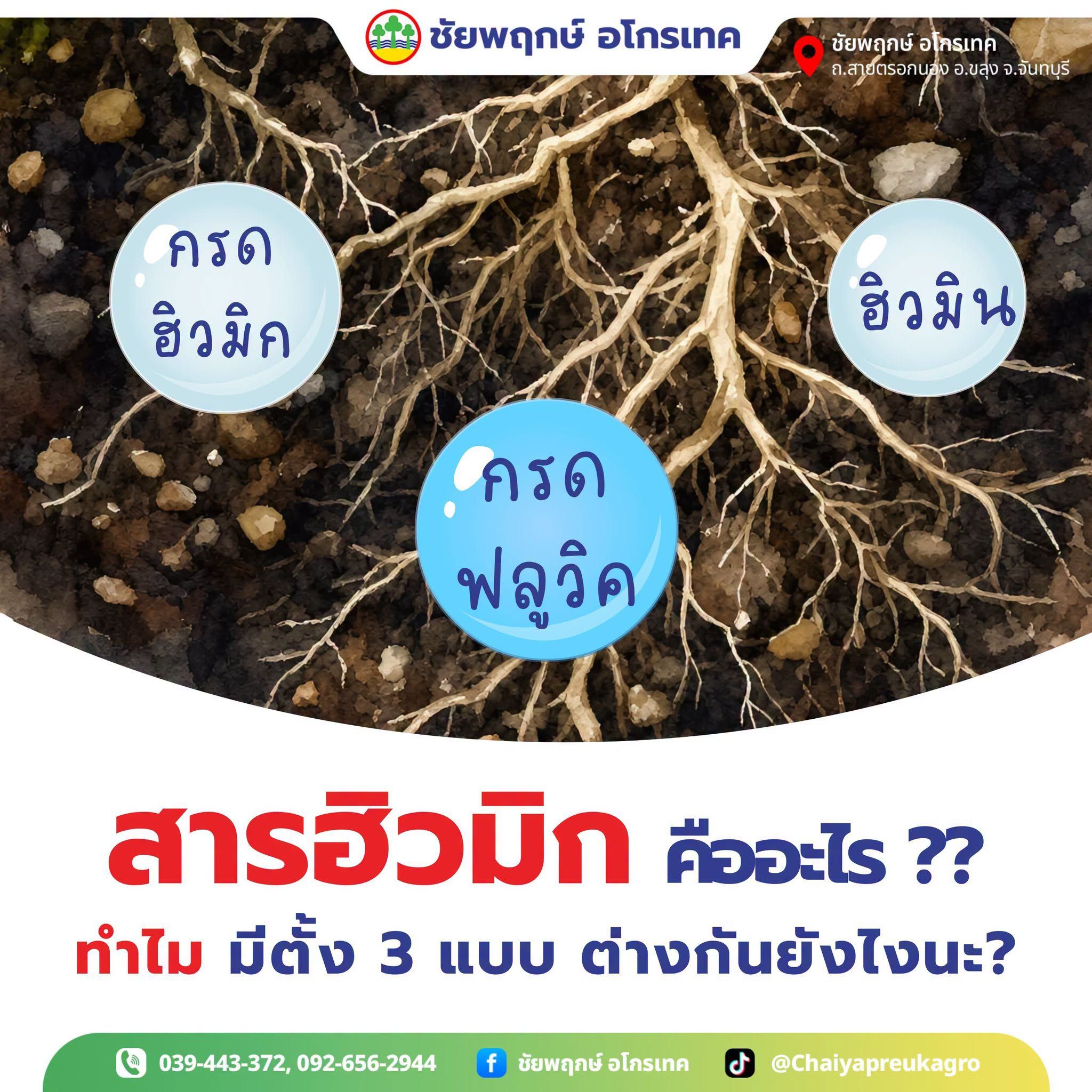 สารฮิวมิก กรดฮิวมิก ฟูลวิค ฮิวมิน ต่างกันอย่างไร