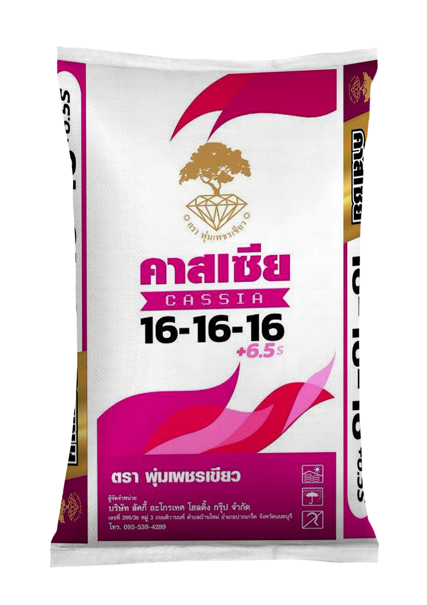 ลัคกี้ คาสเซีย 16-16-16